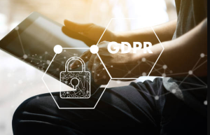 Bitfinder Pricing and Plans