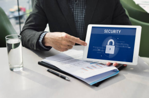 Bitfinder Speed and User Experience