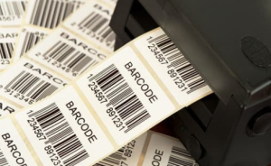 FAQ - How to Print Labels from Word