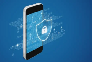 Privacy and Security