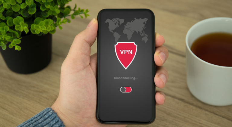 Goose VPN Review – Is it Secure?